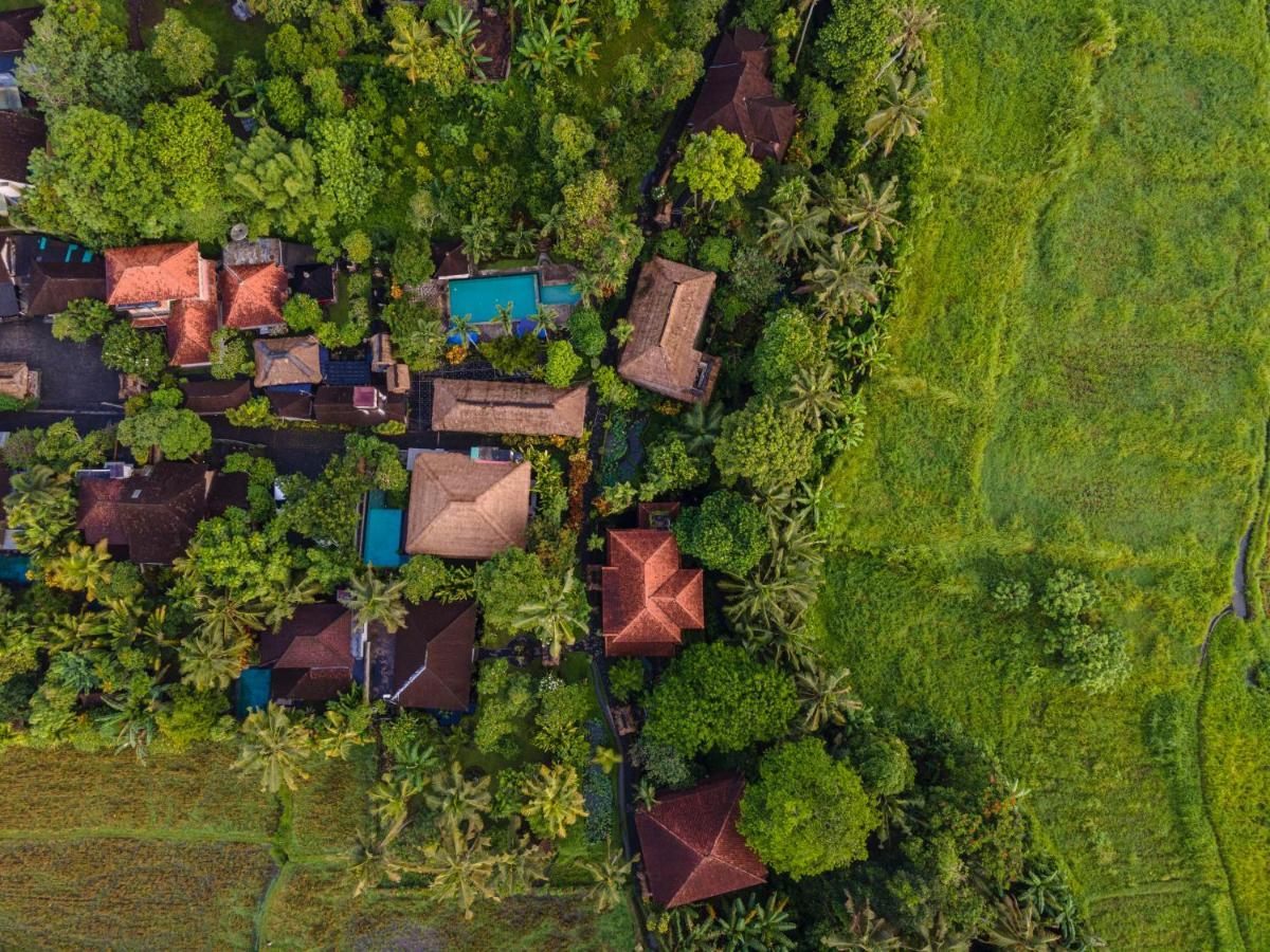 Hotel Alam Jiwa Ubud Exterior foto