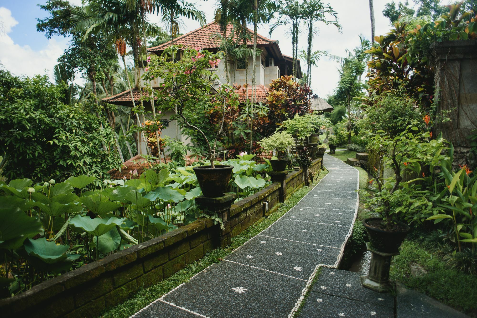 Hotel Alam Jiwa Ubud Exterior foto